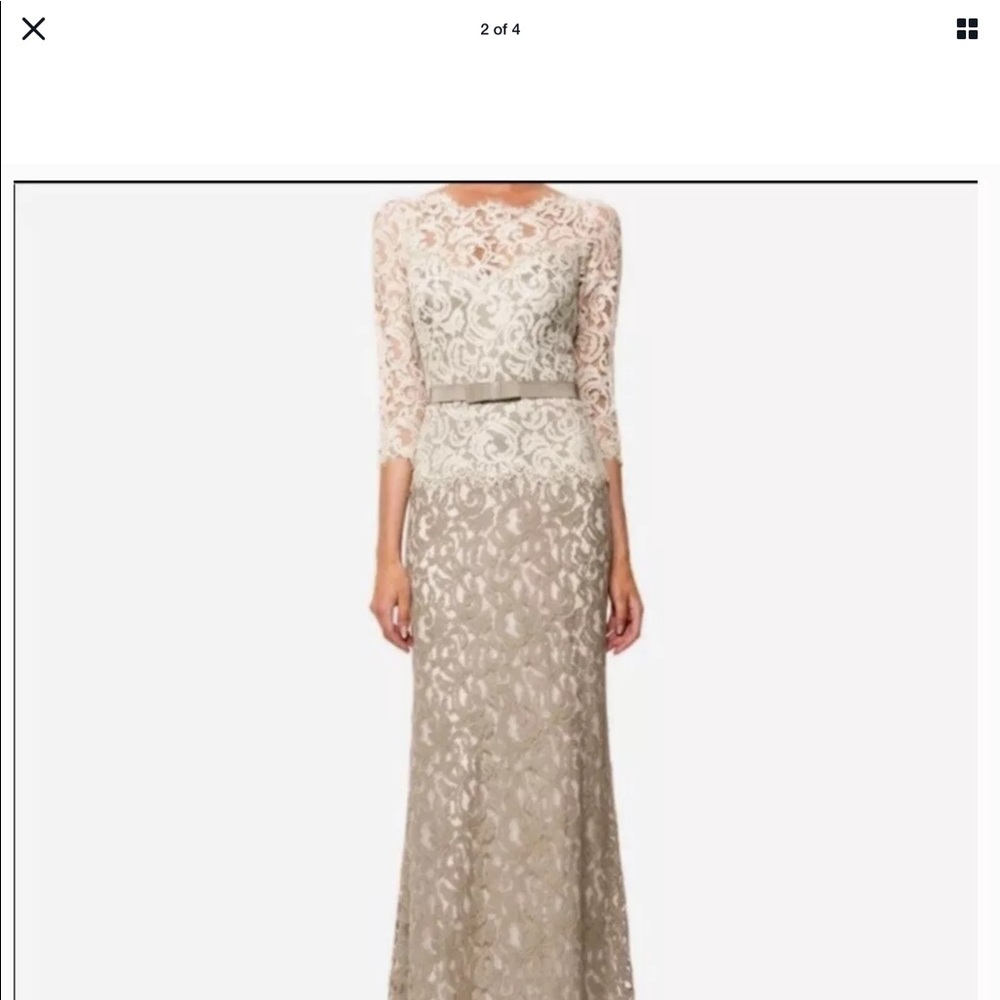 Adrianna Papell Lace Dress/Gown 10p